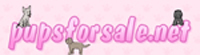 pupsforsale.net