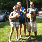 Boerboels_in _texas